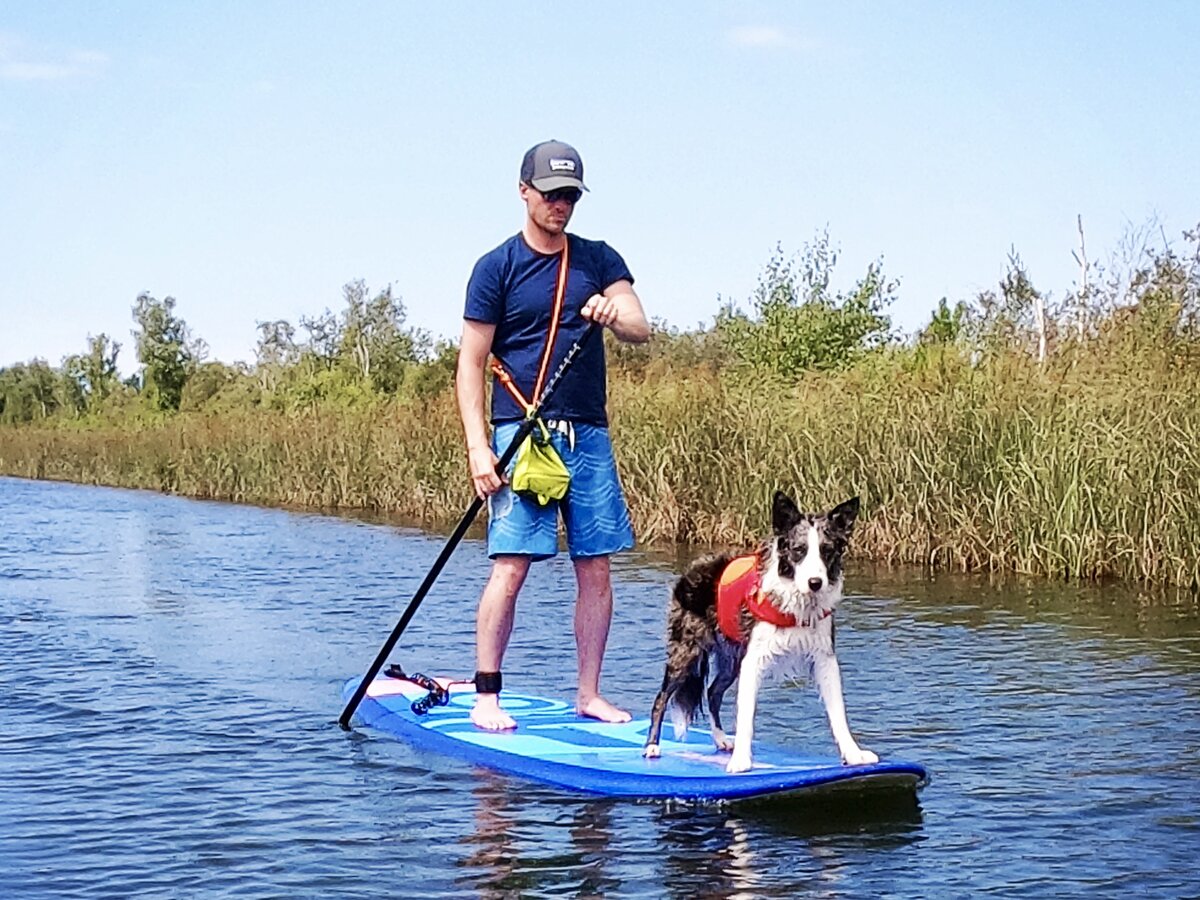 Paddleboarding with our border collie